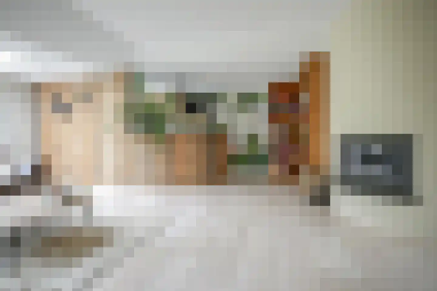 Beukenlaan 115 Bleiswijk thumbnail 16