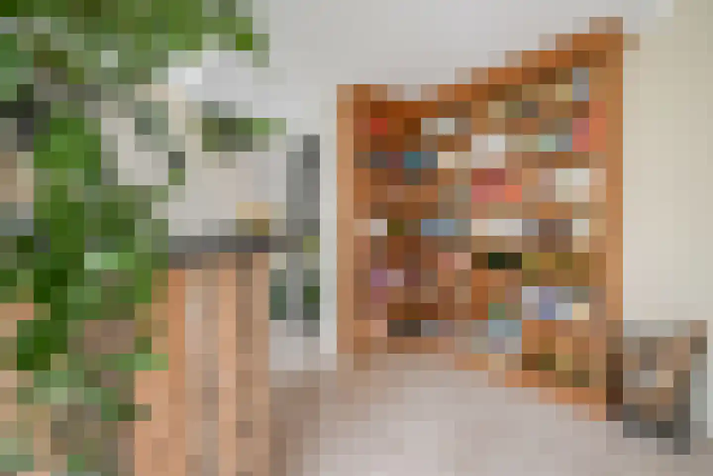 Beukenlaan 115 Bleiswijk thumbnail 17