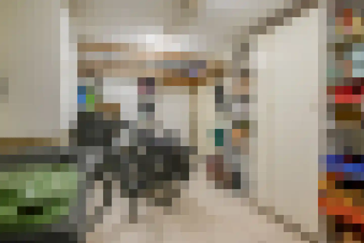 Beukenlaan 115 Bleiswijk thumbnail 22