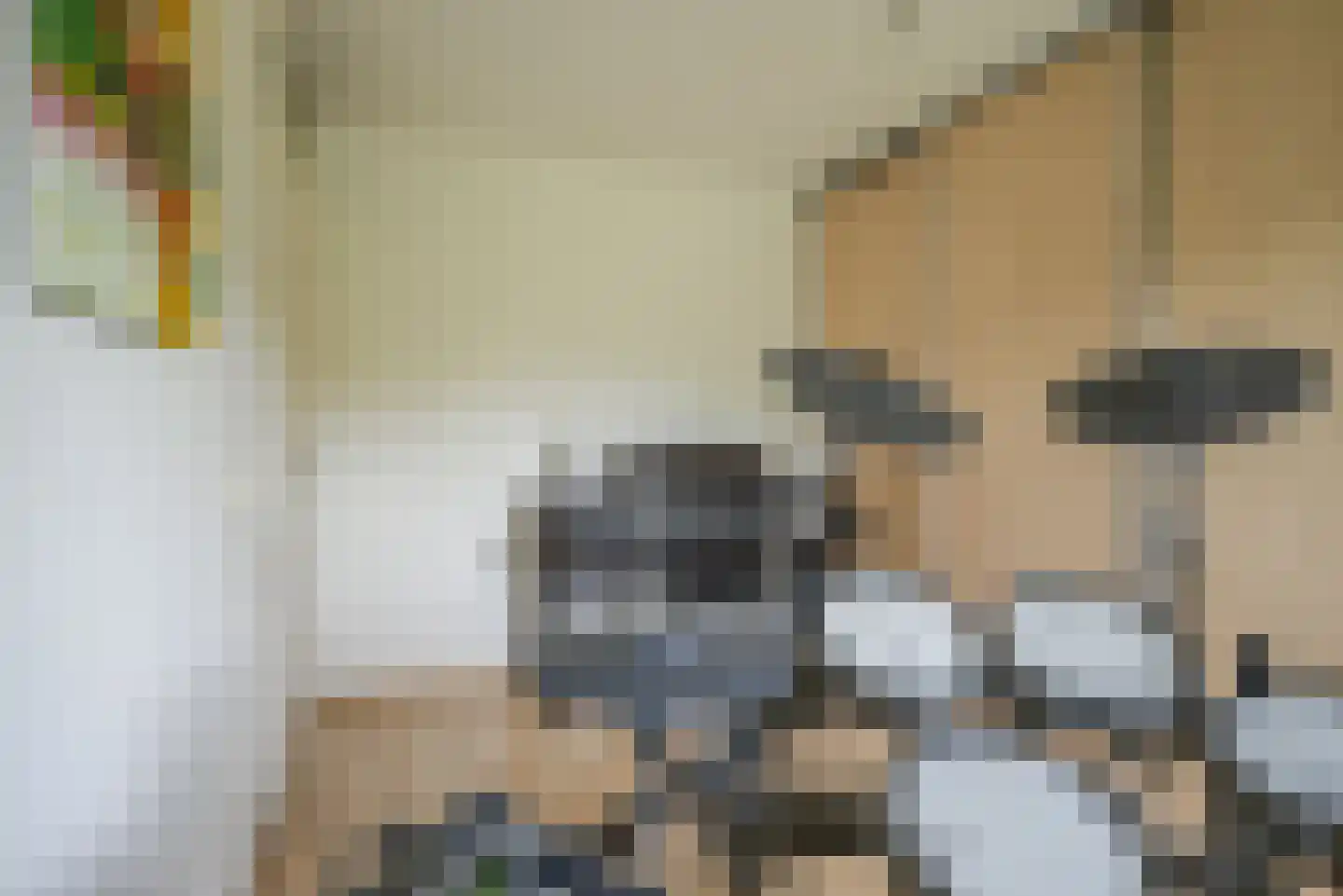 Beukenlaan 115 Bleiswijk thumbnail 29