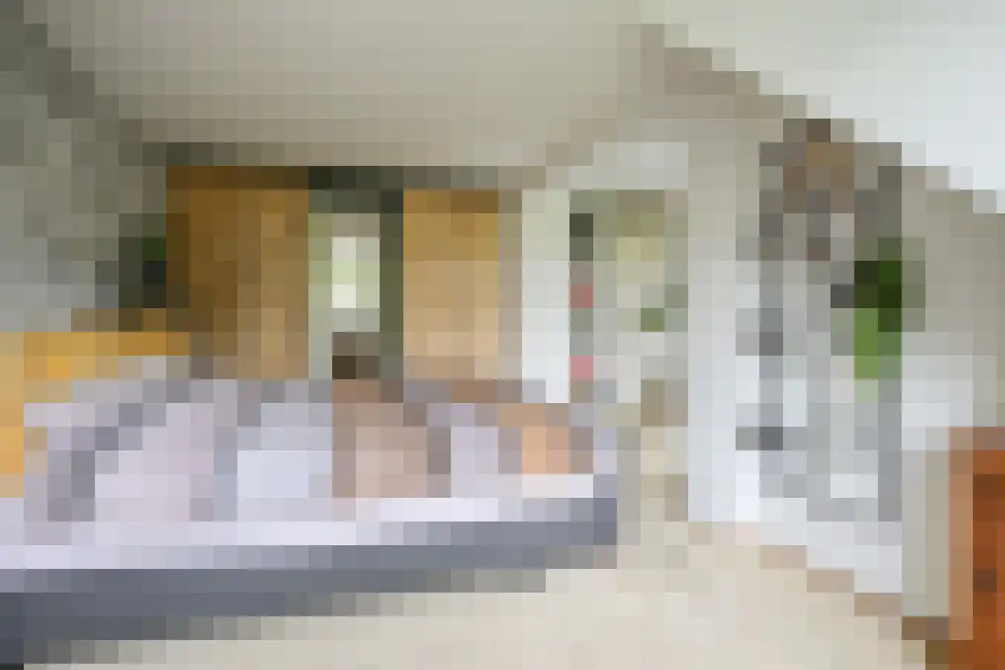 Beukenlaan 115 Bleiswijk thumbnail 34