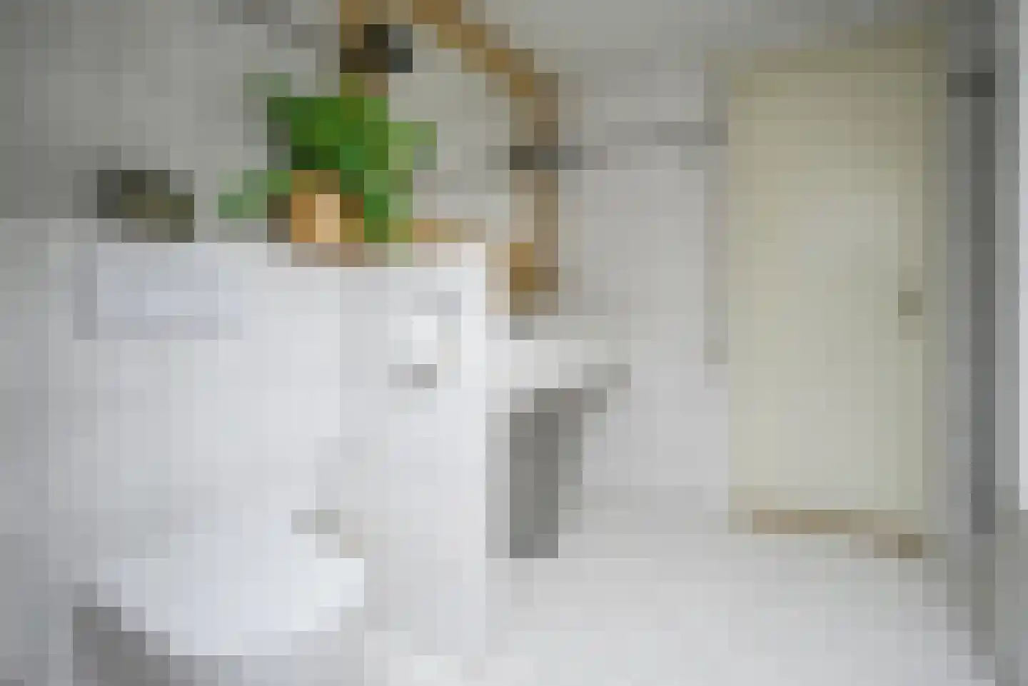 Beukenlaan 115 Bleiswijk thumbnail 38
