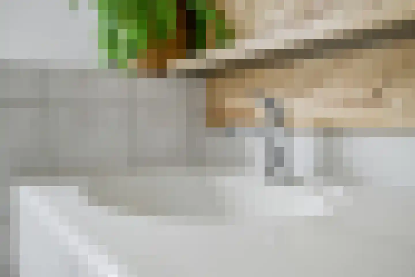Beukenlaan 115 Bleiswijk thumbnail 39