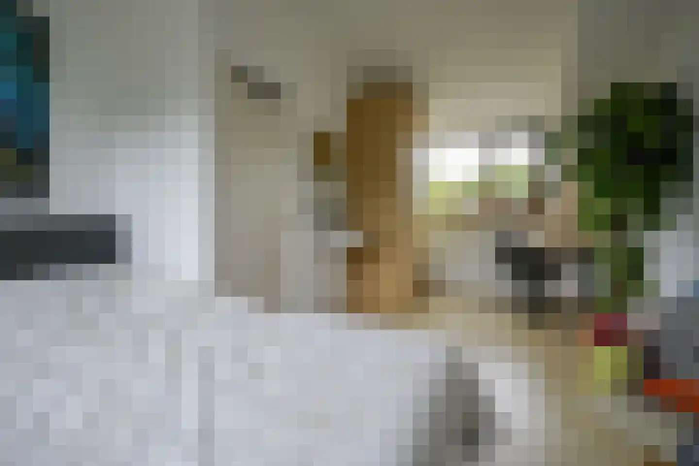 Beukenlaan 115 Bleiswijk thumbnail 44