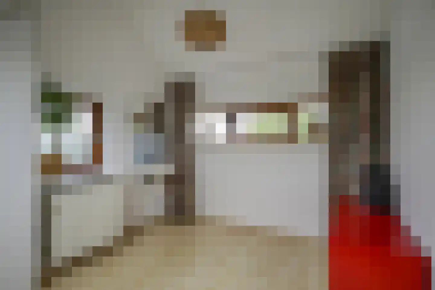 Beukenlaan 115 Bleiswijk thumbnail 46