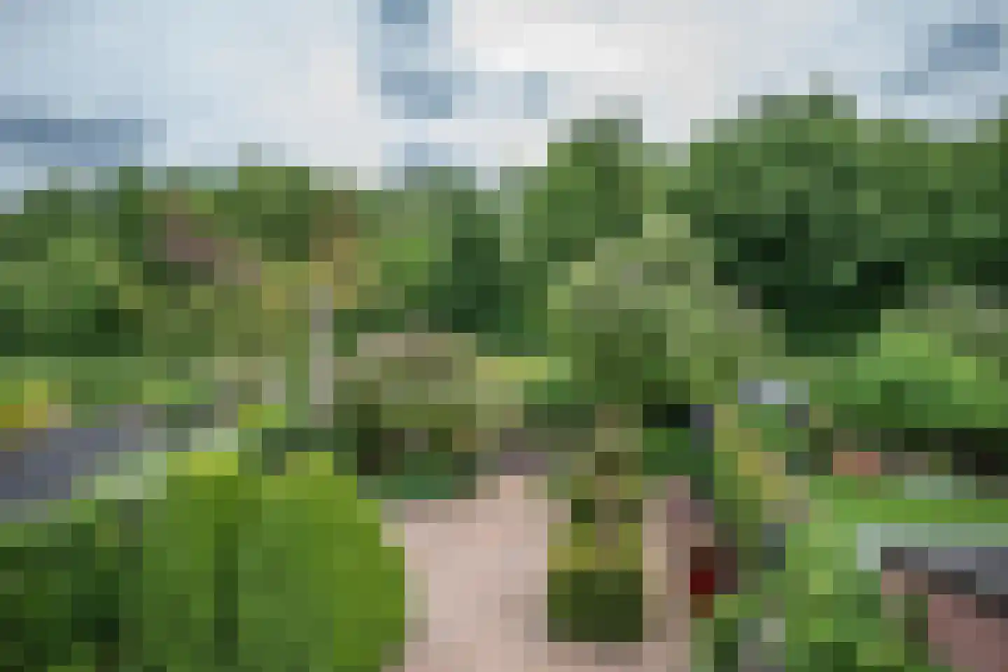 Beukenlaan 115 Bleiswijk thumbnail 50
