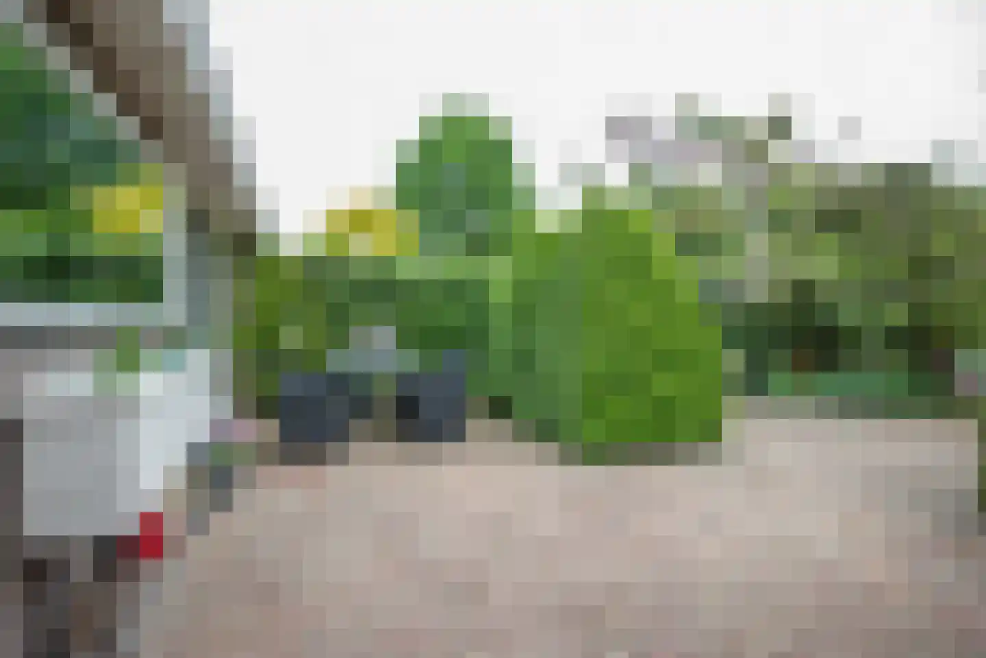 Beukenlaan 115 Bleiswijk thumbnail 51