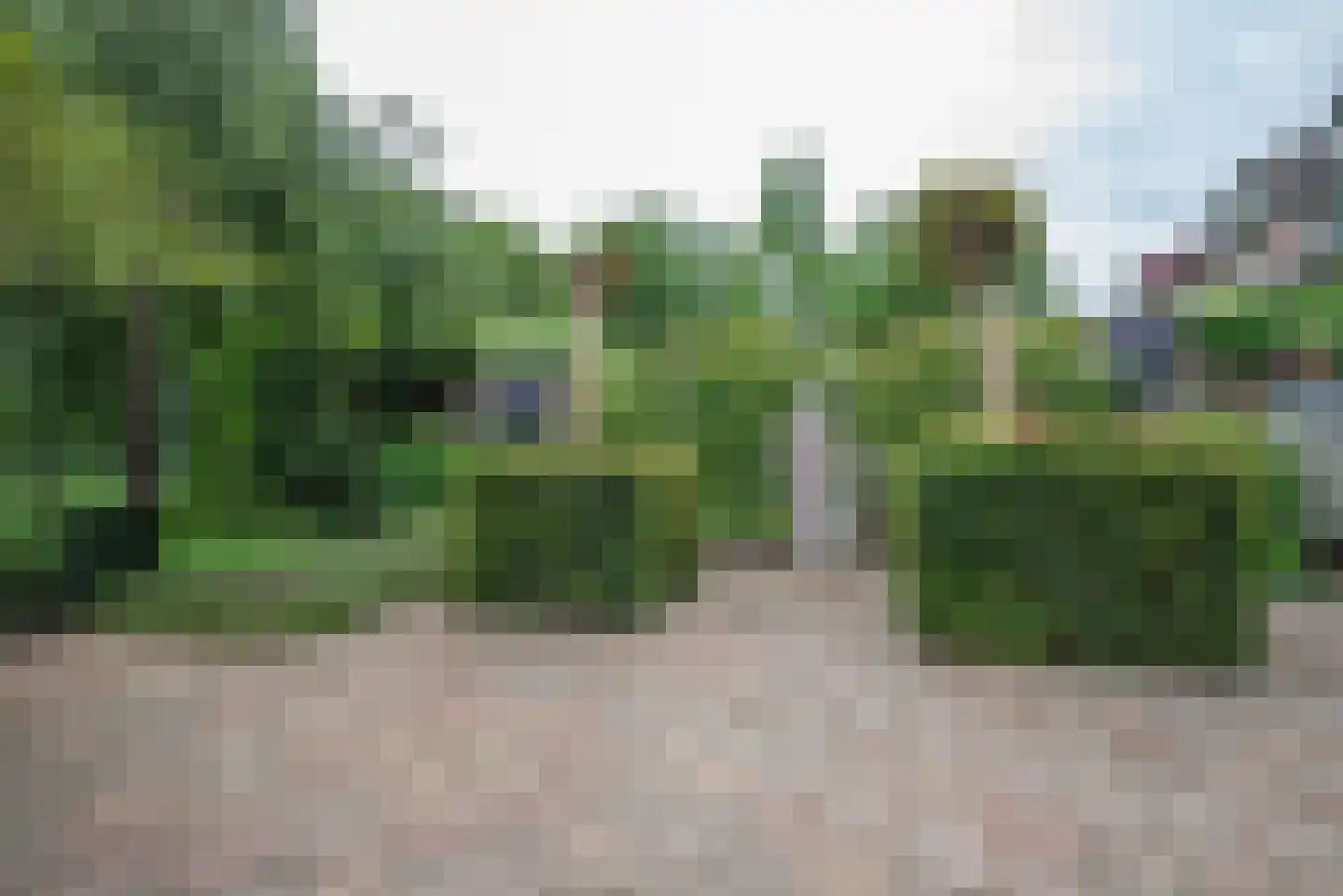 Beukenlaan 115 Bleiswijk thumbnail 52
