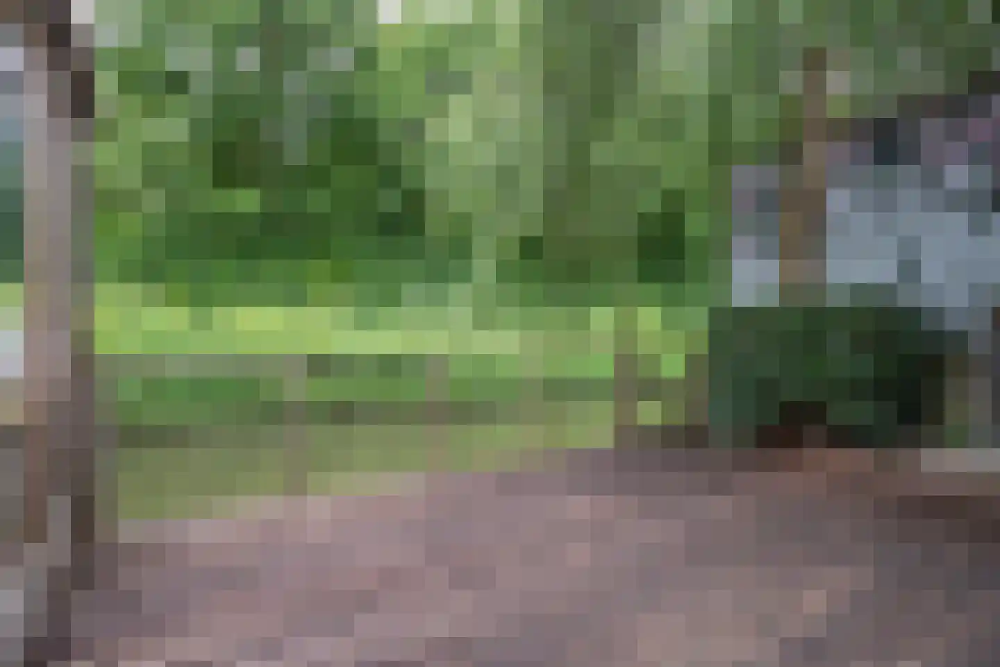 Beukenlaan 115 Bleiswijk thumbnail 55