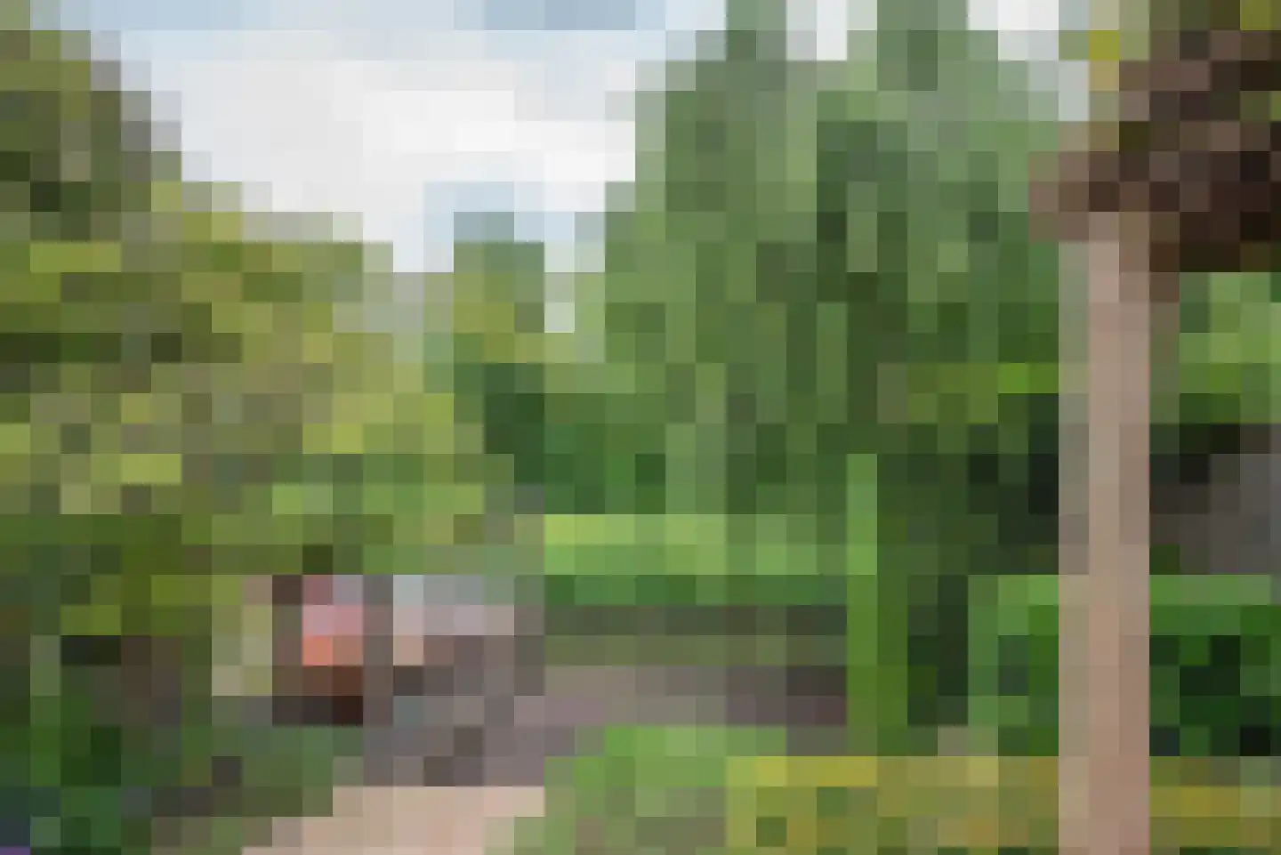 Beukenlaan 115 Bleiswijk thumbnail 57