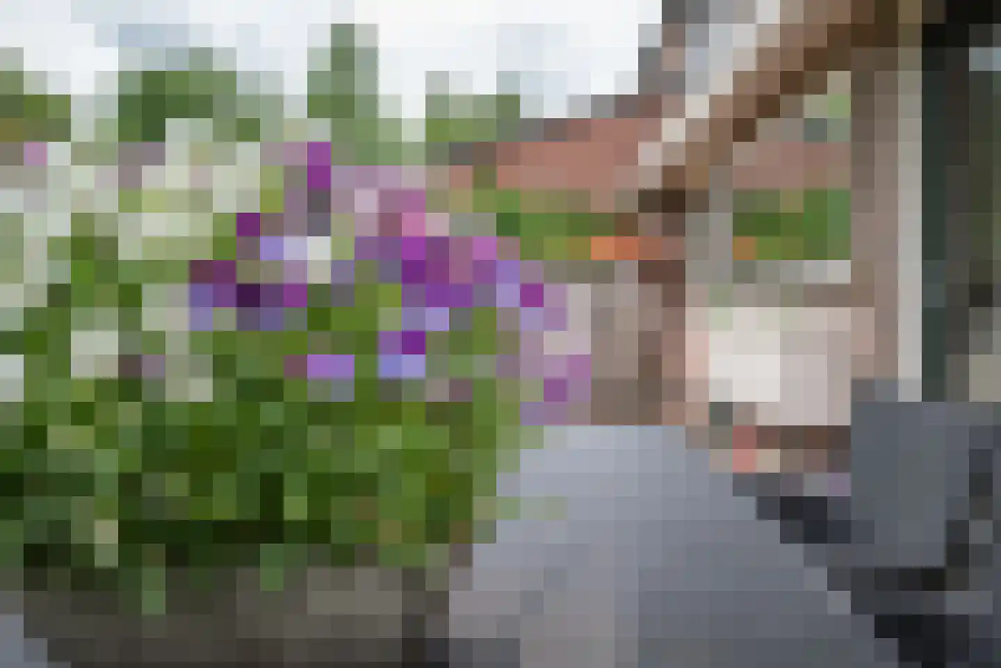 Beukenlaan 115 Bleiswijk thumbnail 59
