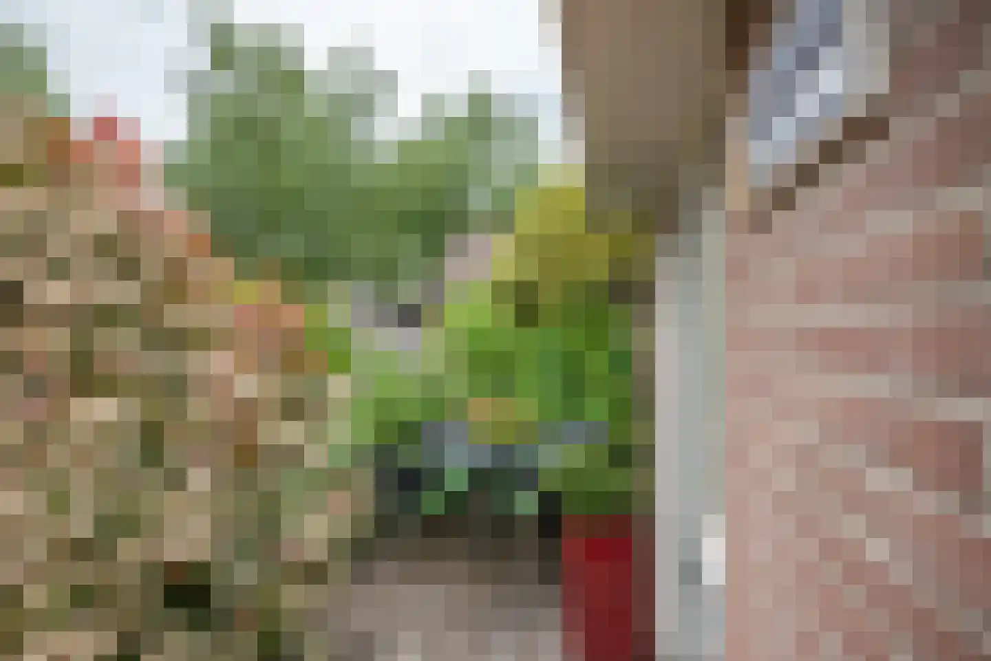 Beukenlaan 115 Bleiswijk thumbnail 6