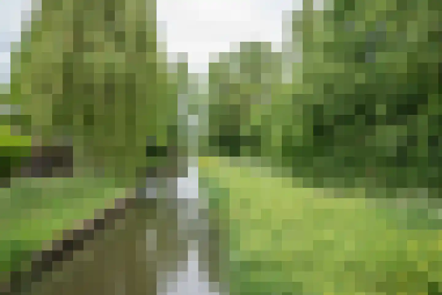 Beukenlaan 115 Bleiswijk thumbnail 62