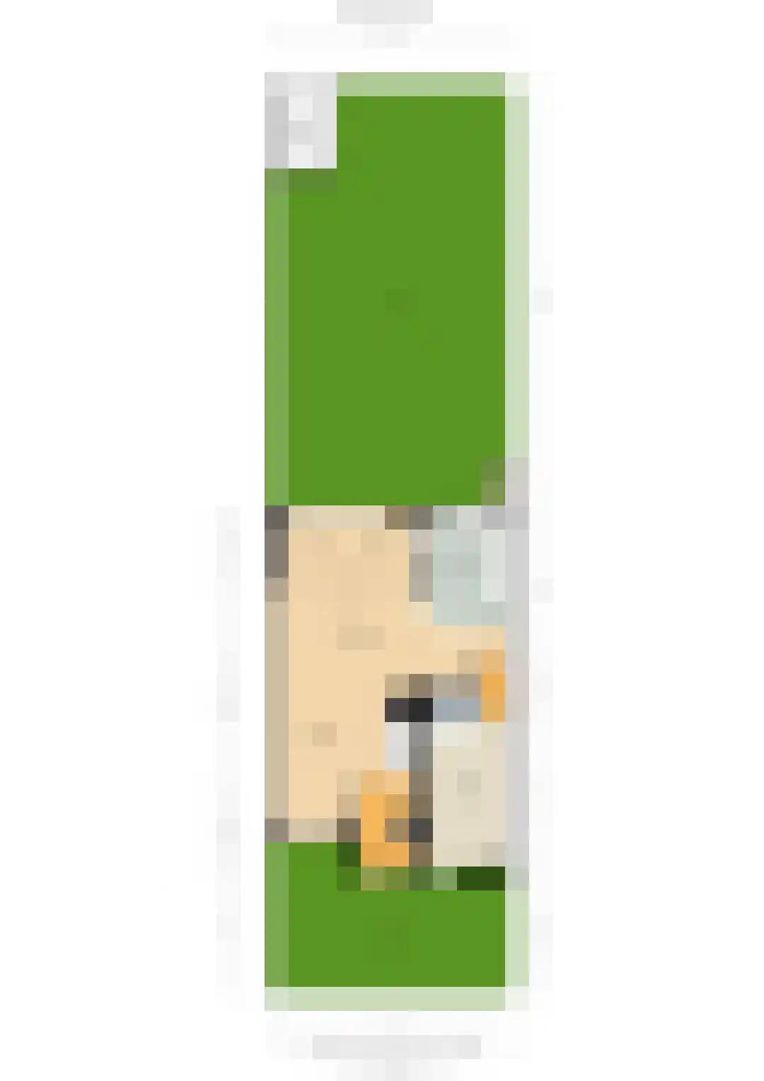 Beukenlaan 115 Bleiswijk thumbnail 68