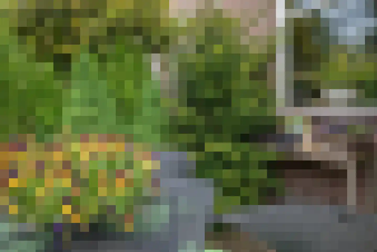 Beukenlaan 115 Bleiswijk thumbnail 7