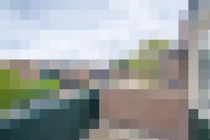 Beukenlaan 117 Borculo thumbnail 17