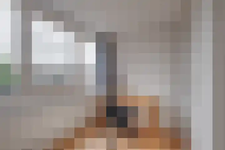 Beukenlaan 117 Borculo thumbnail 24