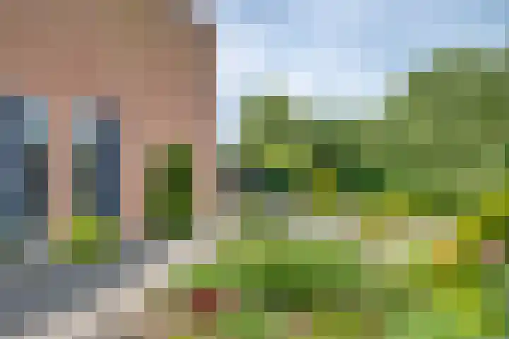 Beukenlaan 117 Borculo thumbnail 28