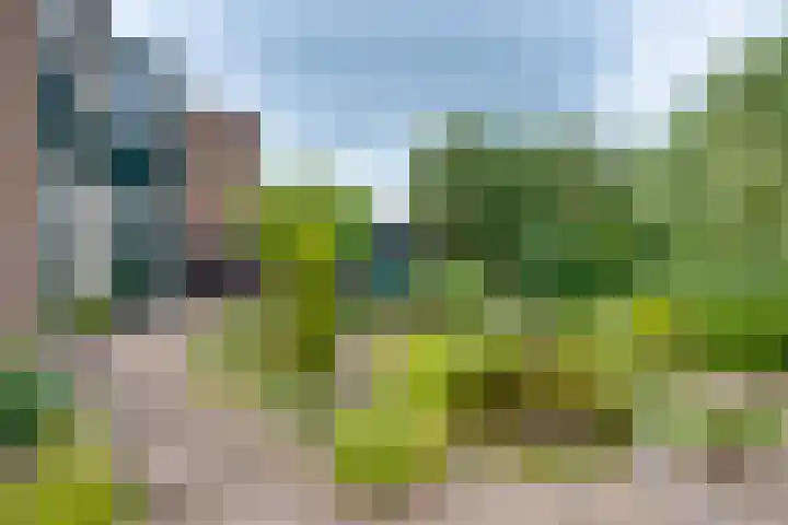 Beukenlaan 117 Borculo thumbnail 31