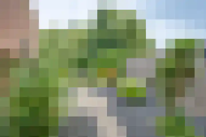 Beukenlaan 117 Borculo thumbnail 33
