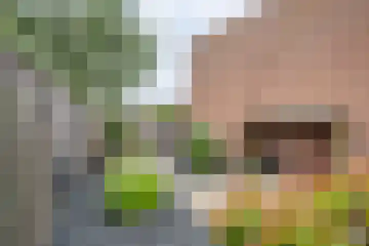 Beukenlaan 117 Borculo thumbnail 34