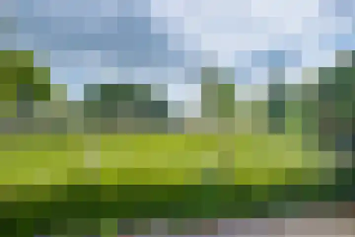 Beukenlaan 117 Borculo thumbnail 35