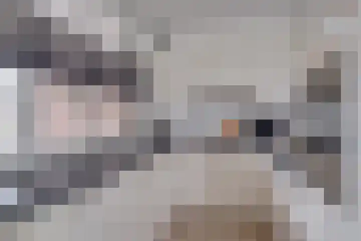 Beukenlaan 117 Borculo thumbnail 4