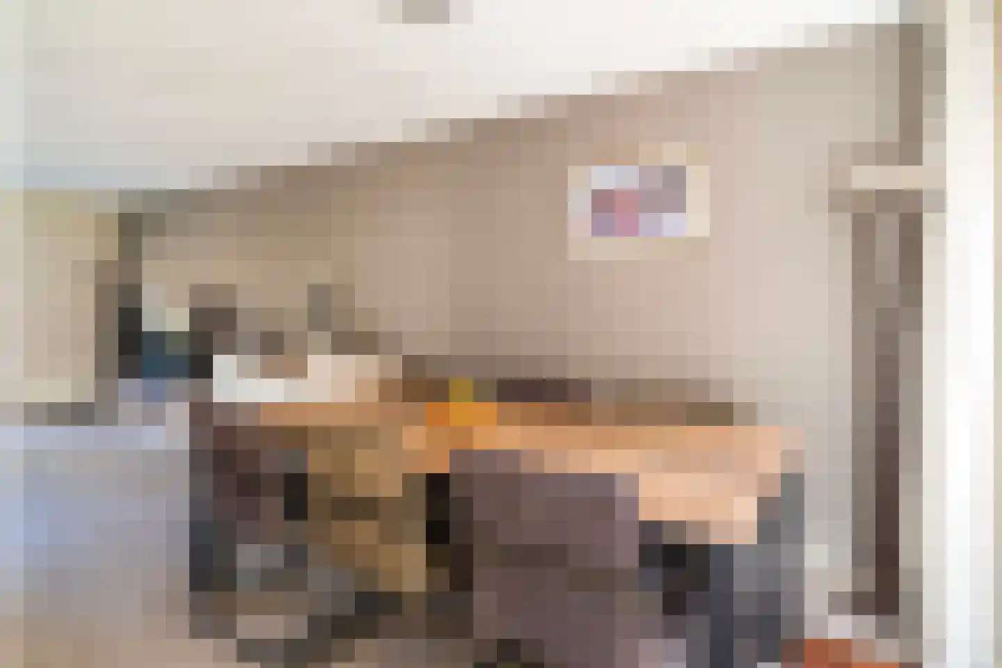 Beukenlaan 12 Geesbrug thumbnail 18