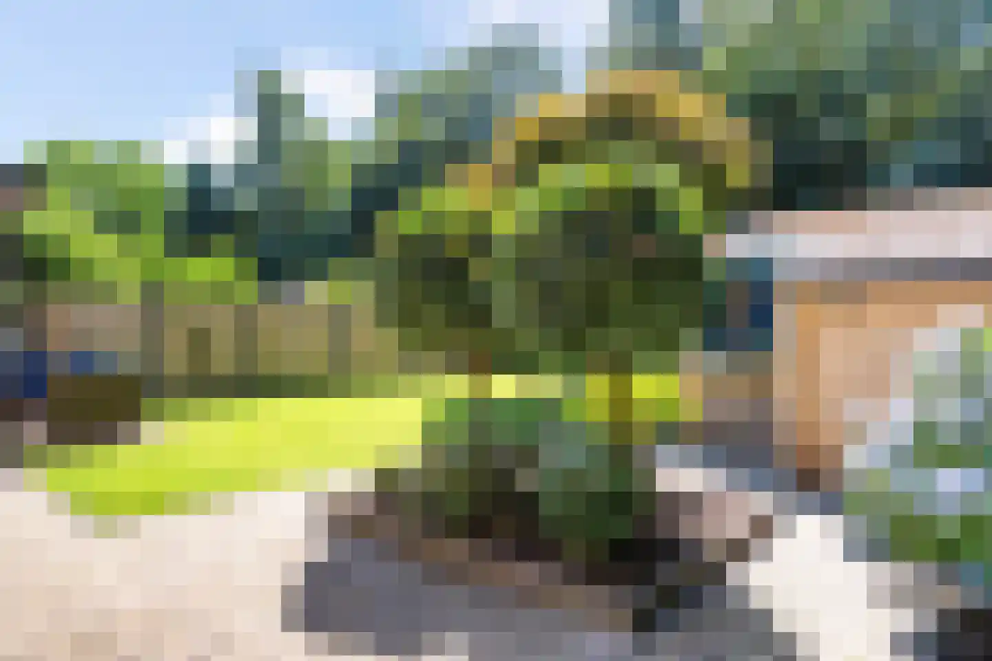 Beukenlaan 12 Geesbrug thumbnail 42