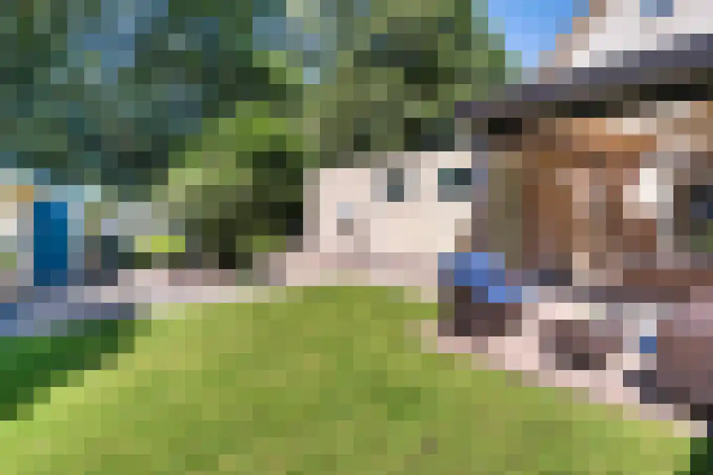 Beukenlaan 12 Geesbrug thumbnail 47