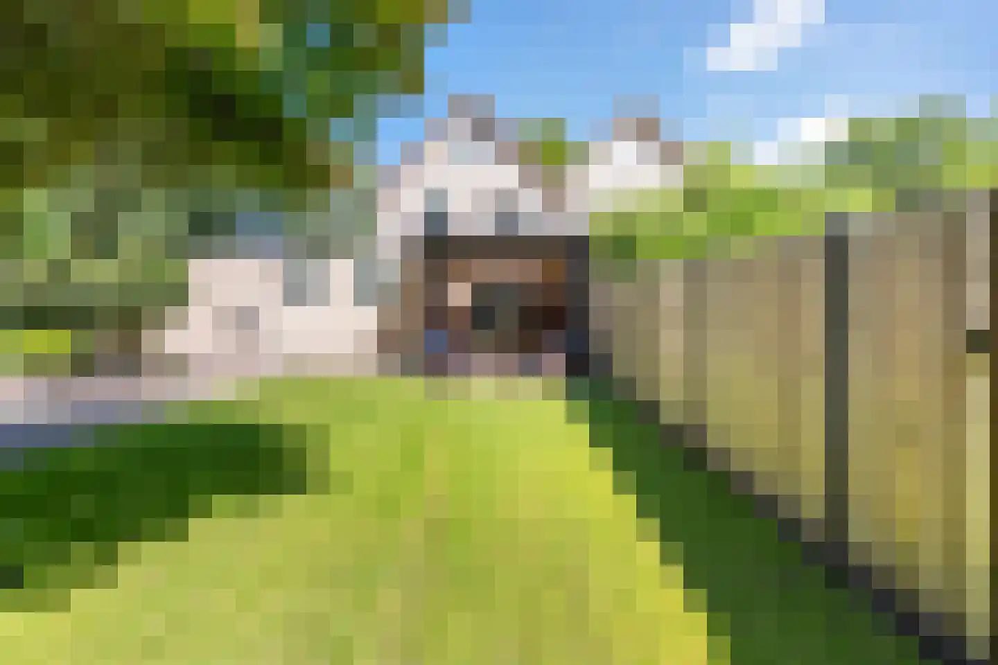 Beukenlaan 12 Geesbrug thumbnail 48