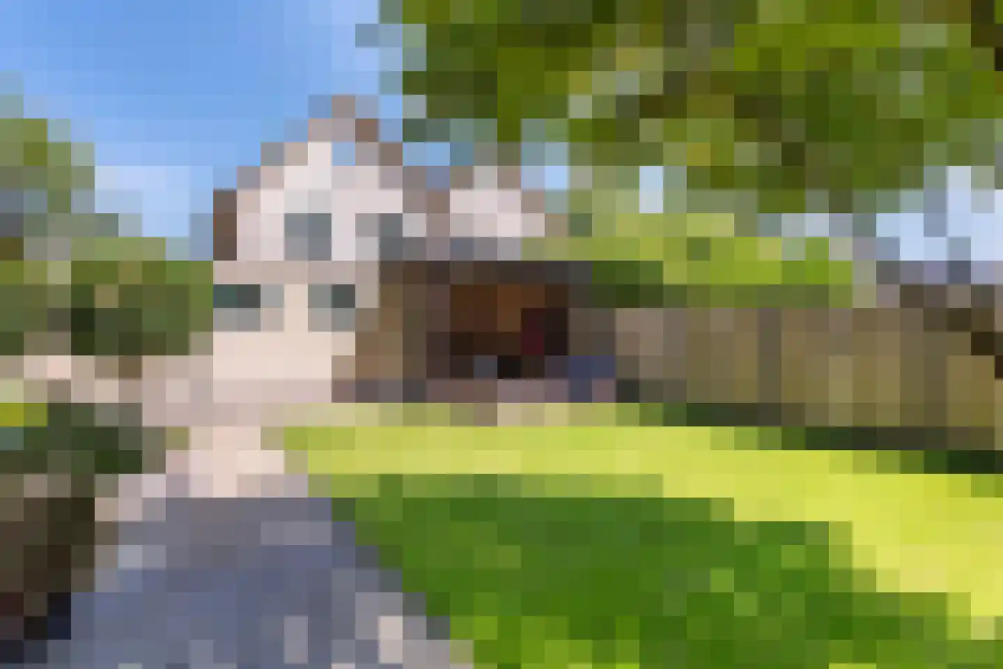 Beukenlaan 12 Geesbrug thumbnail 49
