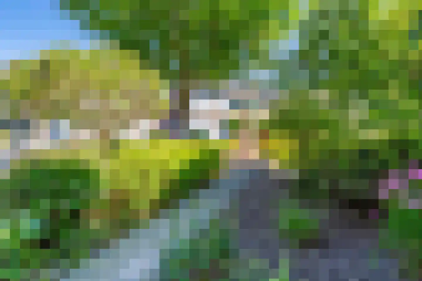 Beukenlaan 12 Geesbrug thumbnail 53