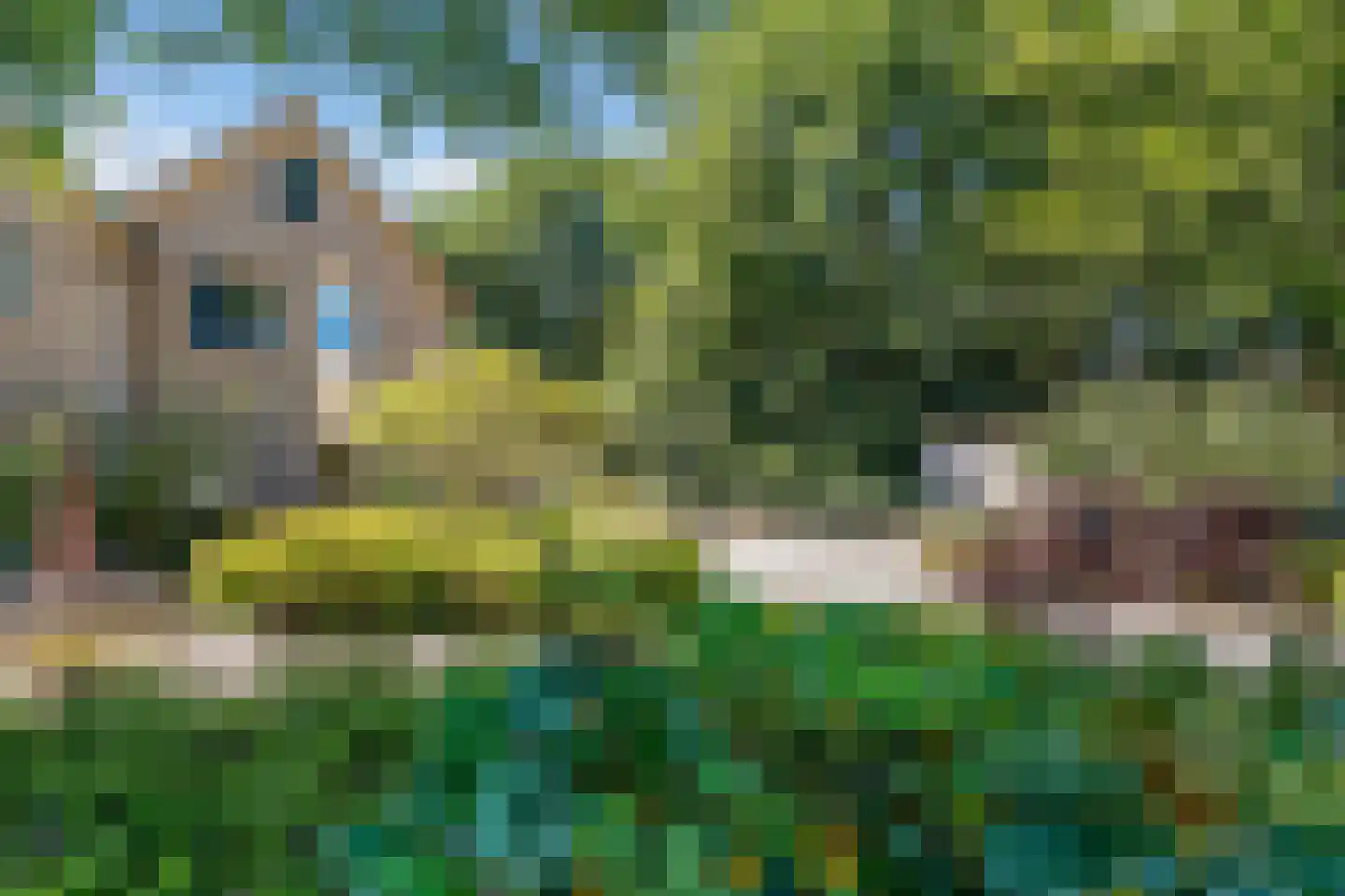 Beukenlaan 12 Geesbrug thumbnail 56