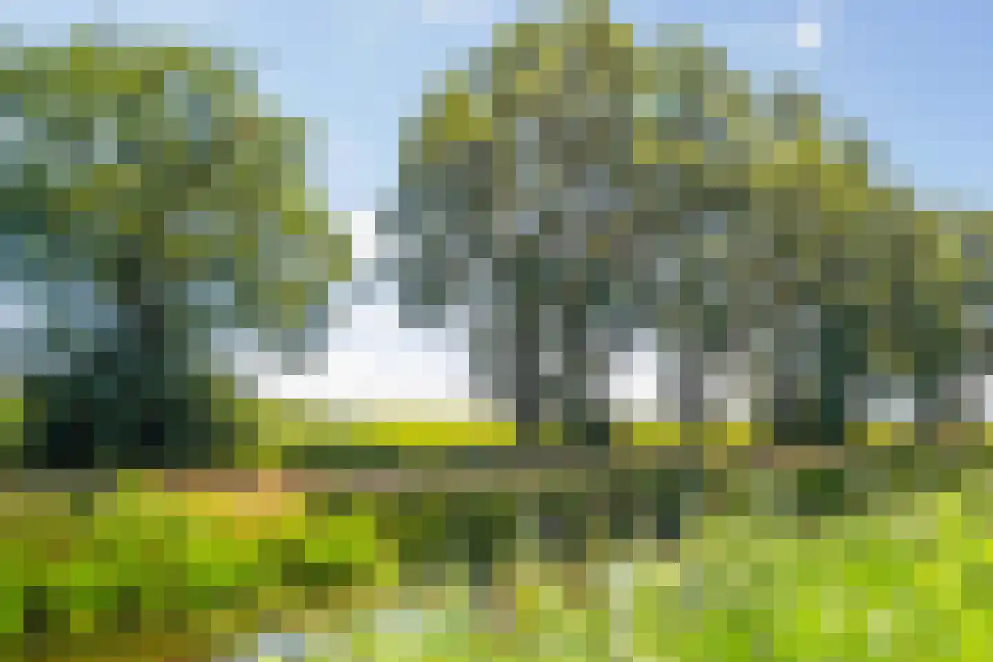 Beukenlaan 12 Geesbrug thumbnail 58