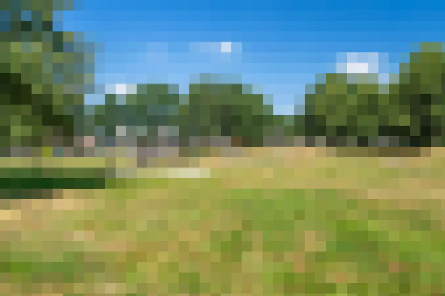 Beukenlaan 12 Geesbrug thumbnail 59