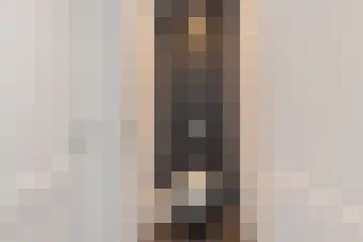 Beukenlaan 12 Joure thumbnail 10