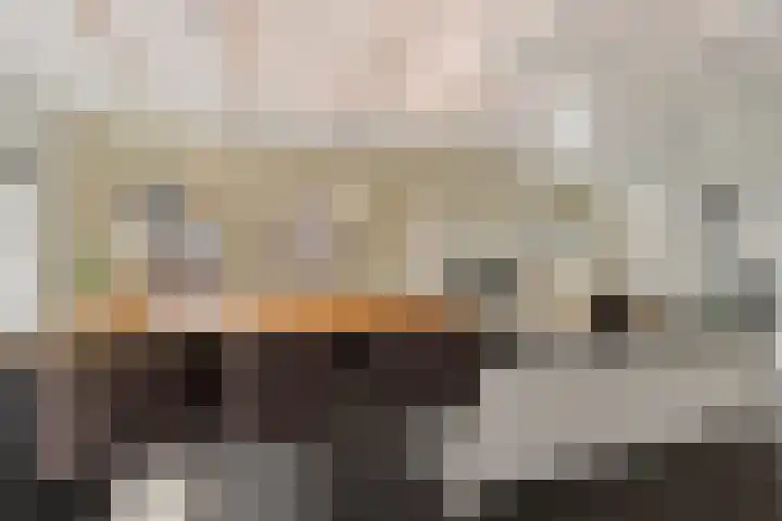 Beukenlaan 12 Joure thumbnail 11