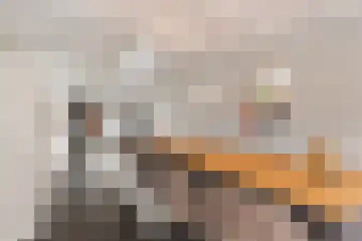 Beukenlaan 12 Joure thumbnail 12