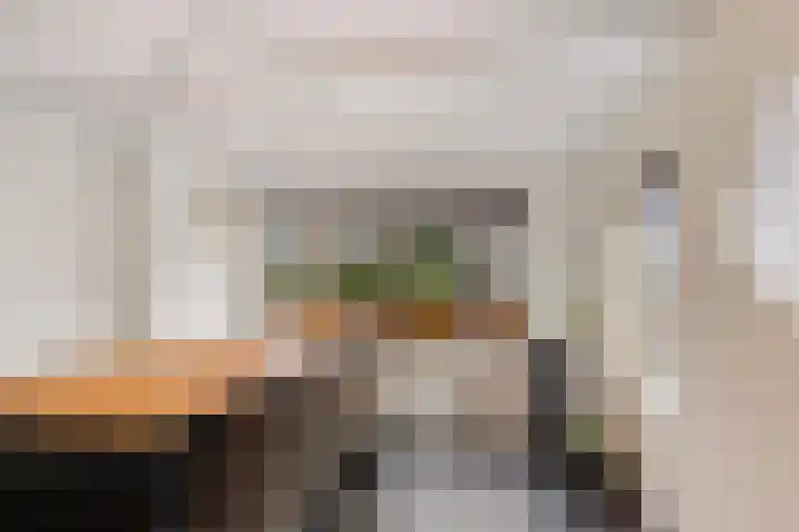 Beukenlaan 12 Joure thumbnail 13