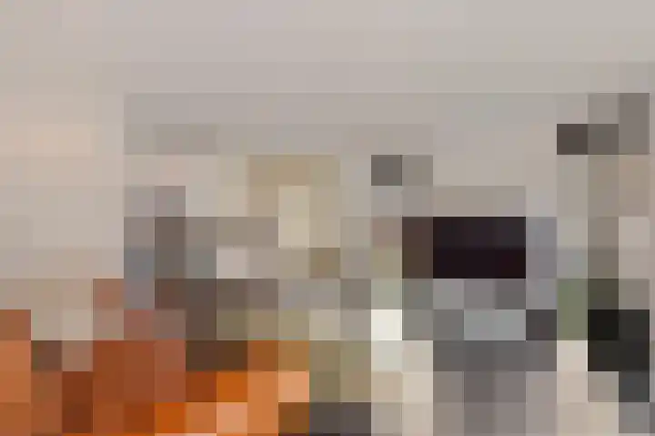 Beukenlaan 12 Joure thumbnail 15