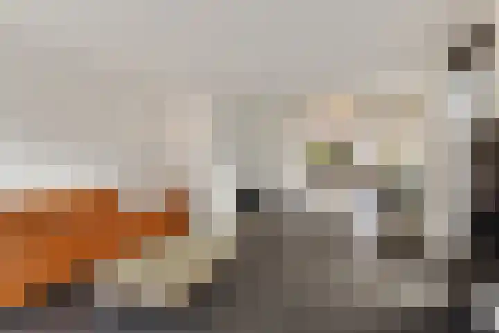 Beukenlaan 12 Joure thumbnail 16