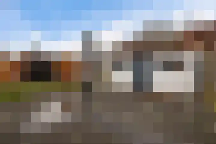 Beukenlaan 12 Joure thumbnail 34