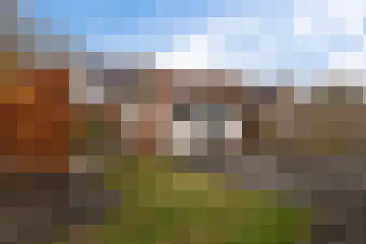 Beukenlaan 12 Joure thumbnail 35