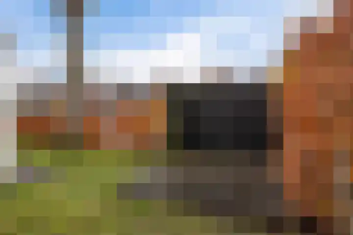 Beukenlaan 12 Joure thumbnail 36