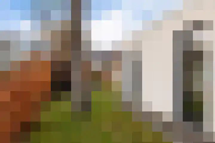 Beukenlaan 12 Joure thumbnail 39