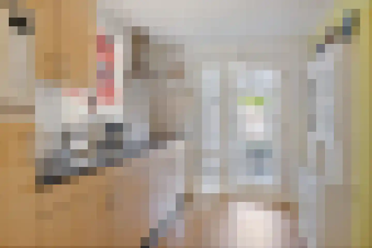 Beukenlaan 12 Nieuwe Pekela thumbnail 13