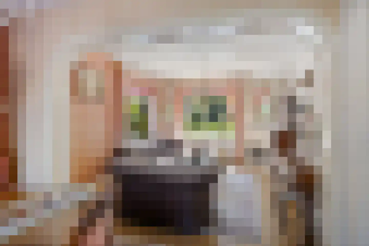 Beukenlaan 12 Nieuwe Pekela thumbnail 18