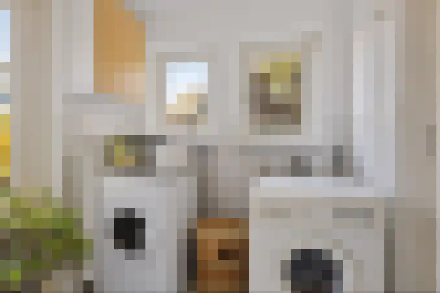 Beukenlaan 12 Nieuwe Pekela thumbnail 19