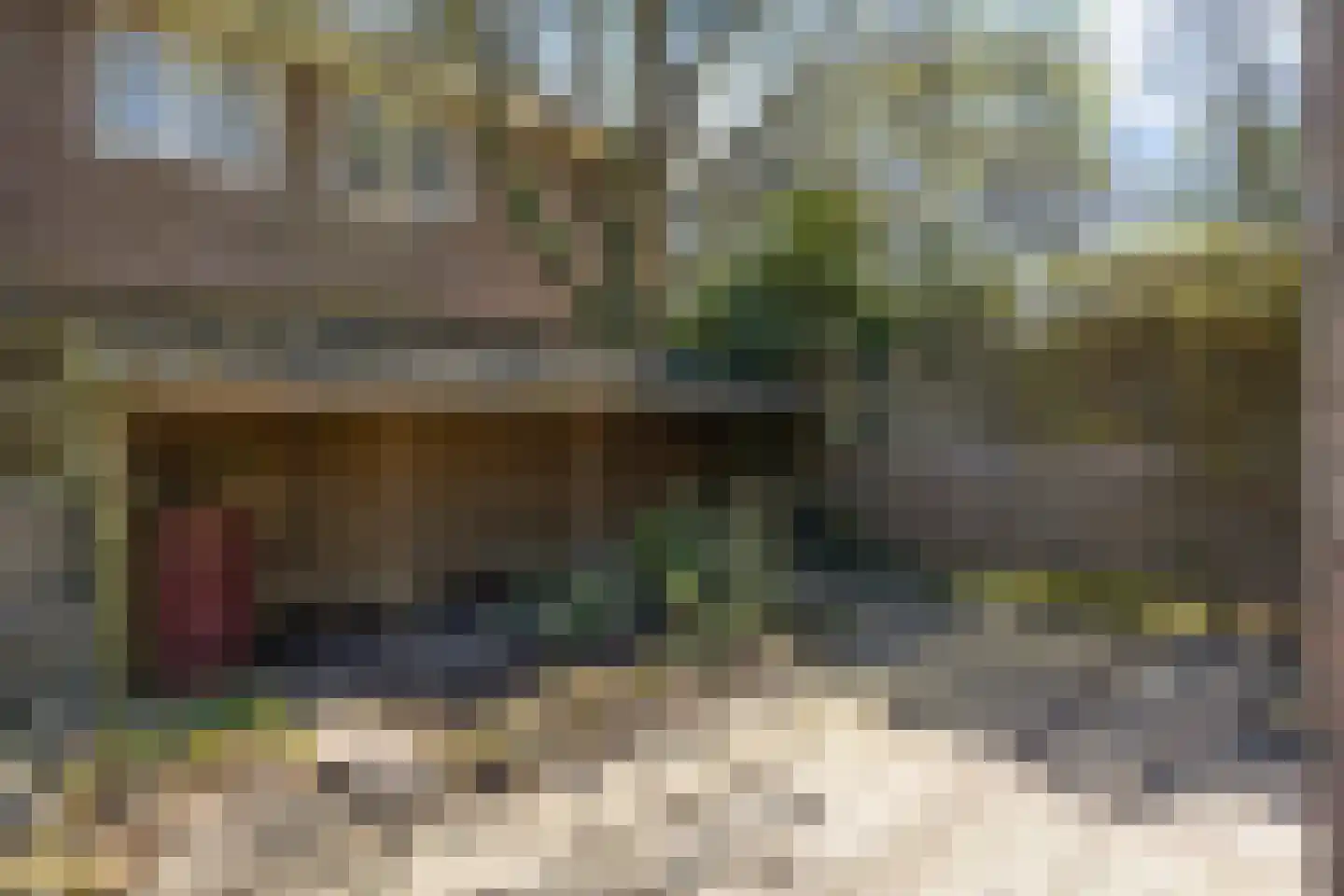 Beukenlaan 12 Nieuwe Pekela thumbnail 26